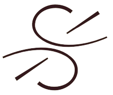 SAWARI Logo